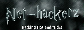 Net-hackerz logo 9